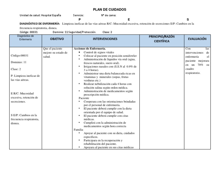Plan De Cuidados Paciente Con Neumonia